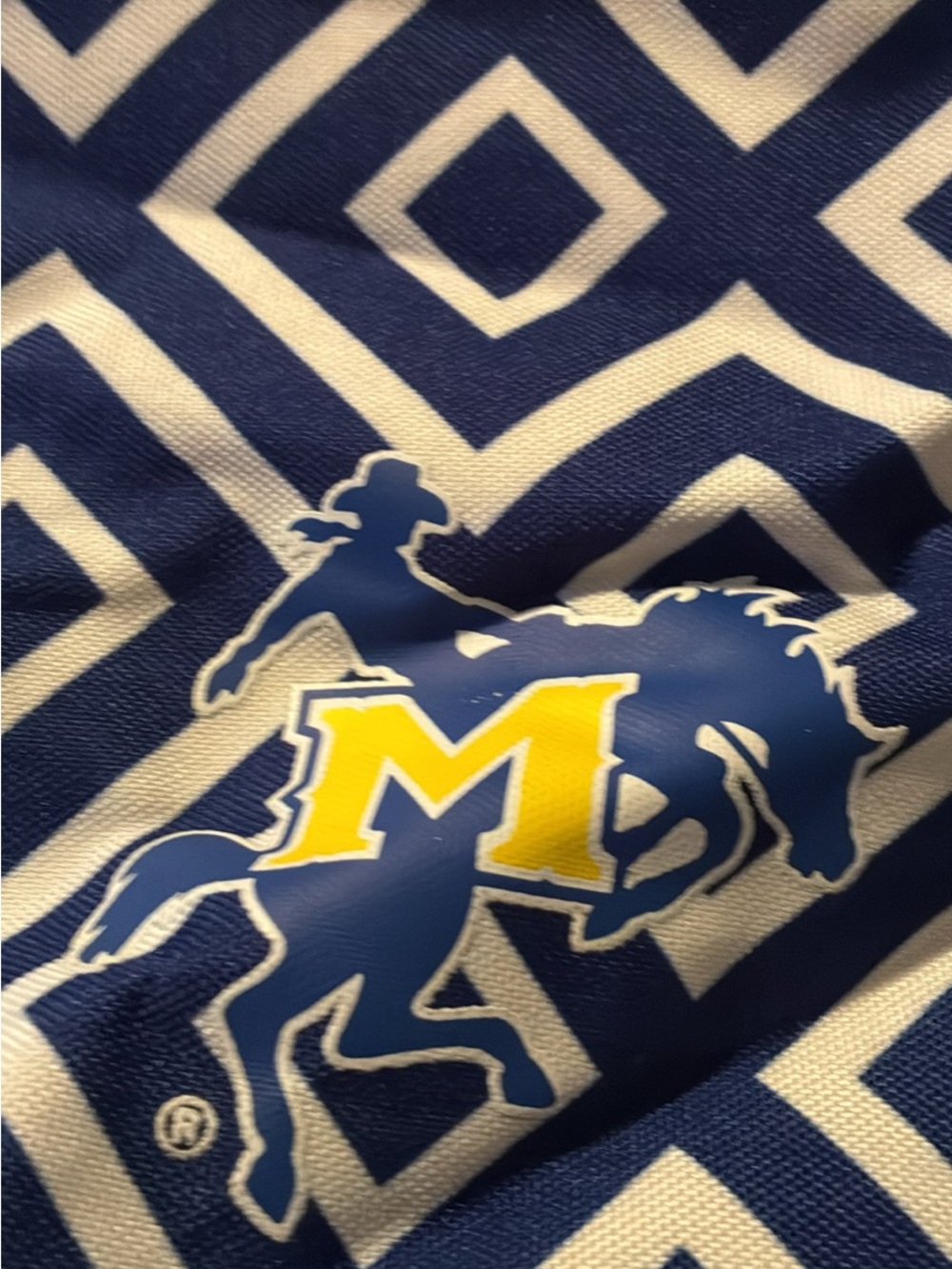 Blue and White Geometric Rodeo Print Bedding with Yellow Accent